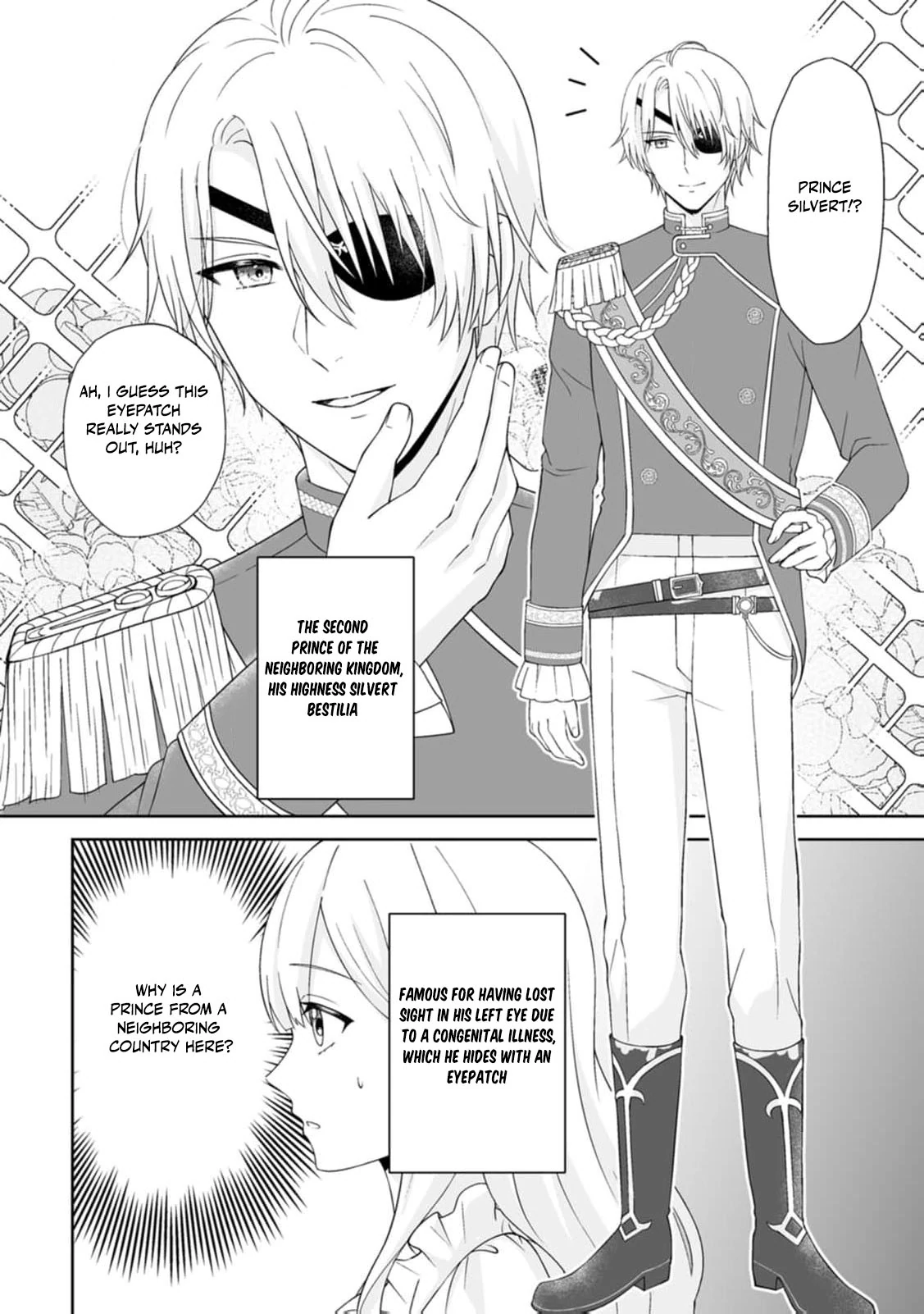 The "Useless" Twin and the Prince from the Neighboring Kingdom Chapter 1 - page 25