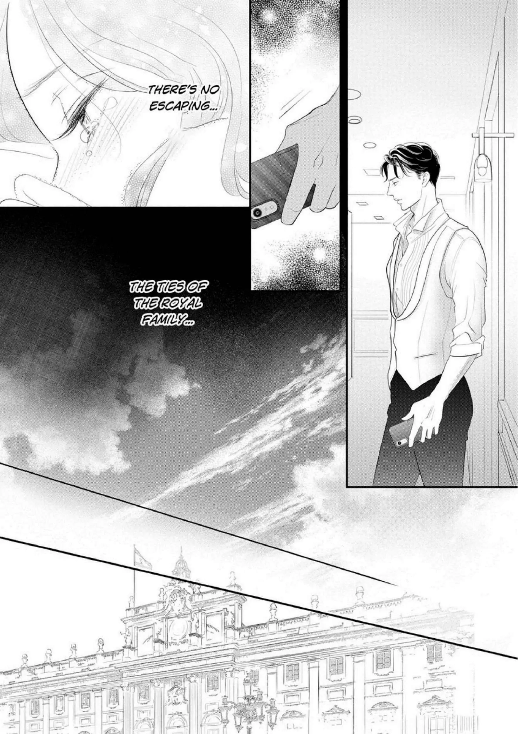 Their Secret Royal Baby Chapter 3 - page 7