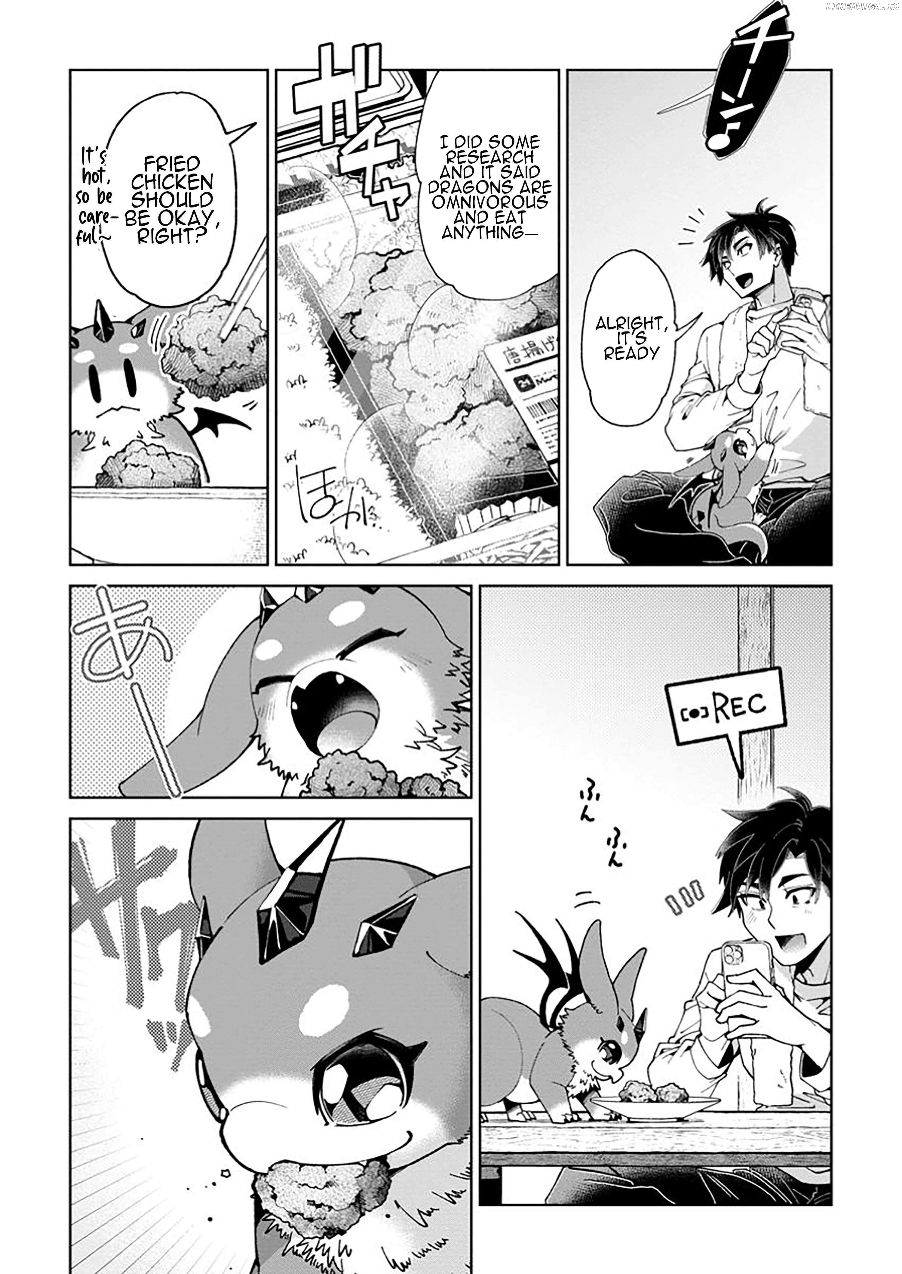 I'm an Overworked Corporate Slave, but After Being Embraced by a Dragon, I Started Streaming My Pet Life With a Tiny Dragon and Monsters on a Farm Chapter 1 - page 21