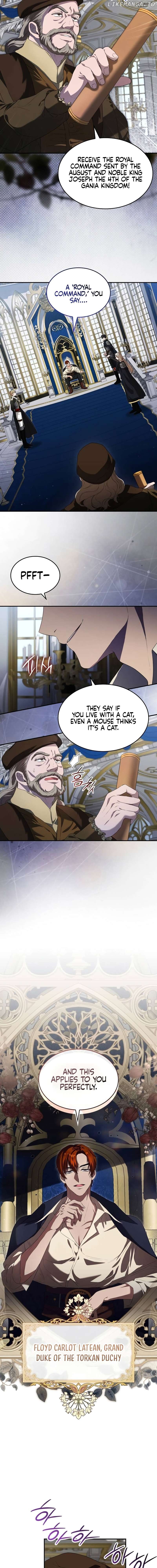 If You Want a Cheeky Sorceress Chapter 3 - page 2