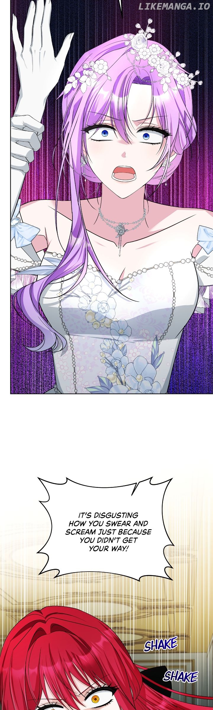 The Ugly Lady’s Secret Pouch Chapter 70 - page 17