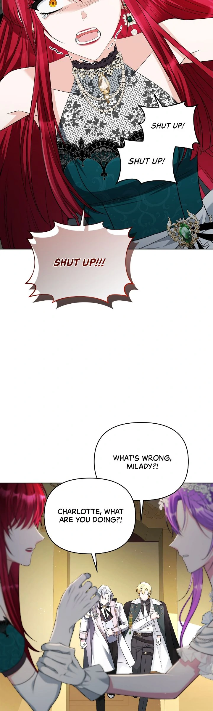 The Ugly Lady’s Secret Pouch Chapter 70 - page 18