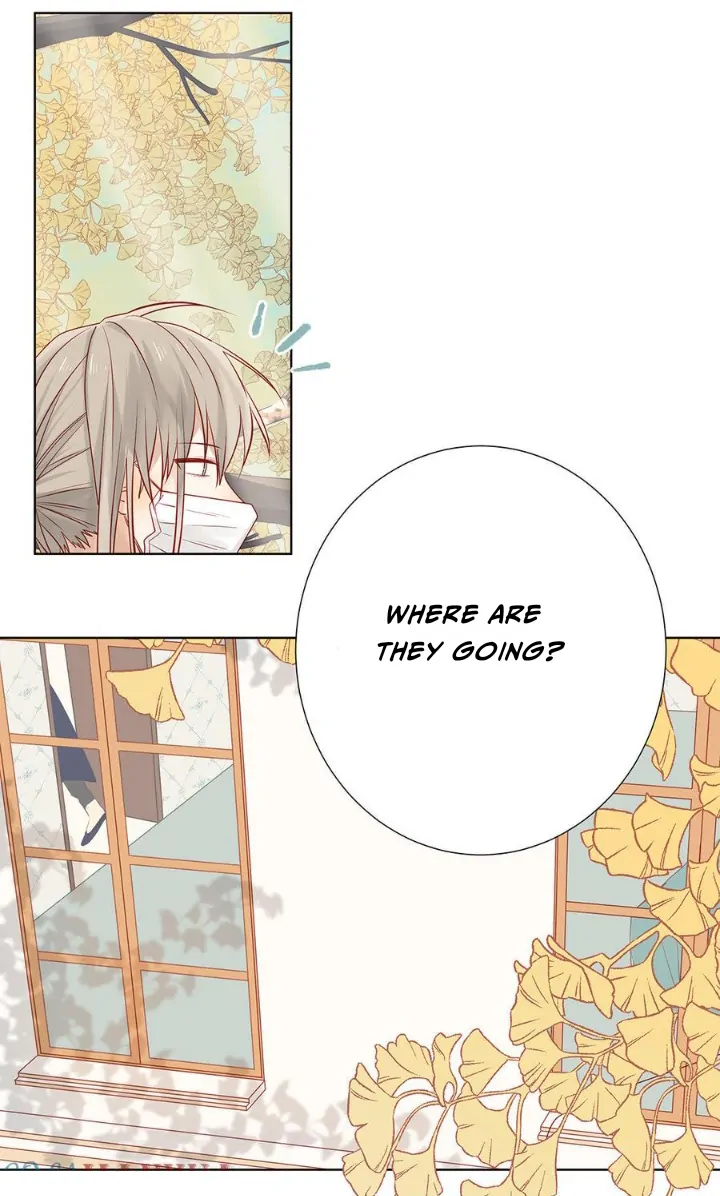 In Search Of The Twelve Golden Hairpins Chapter 71 - page 13