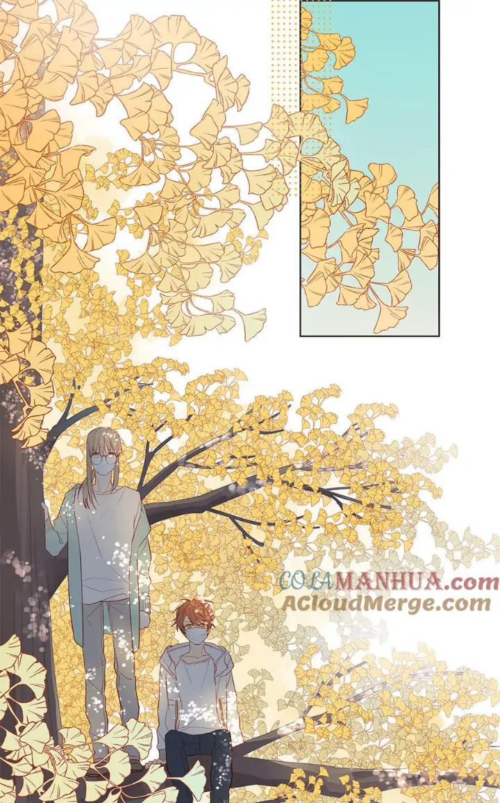 In Search Of The Twelve Golden Hairpins Chapter 71 - page 5