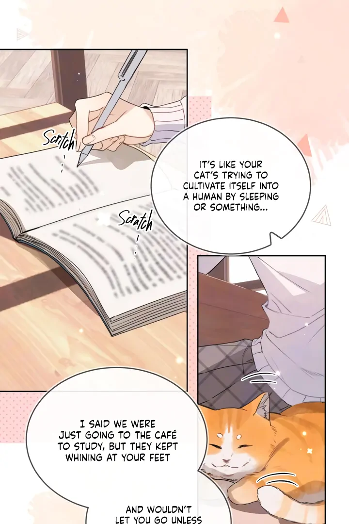 To Tell You My Love Chapter 47 - page 26