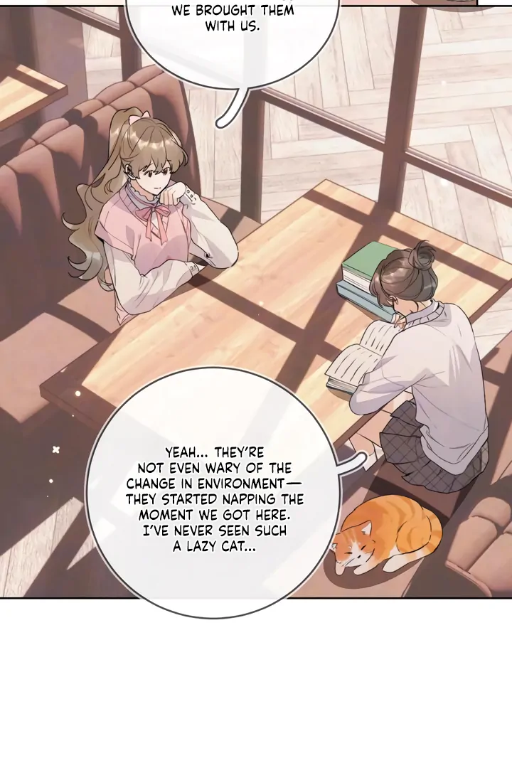 To Tell You My Love Chapter 47 - page 27