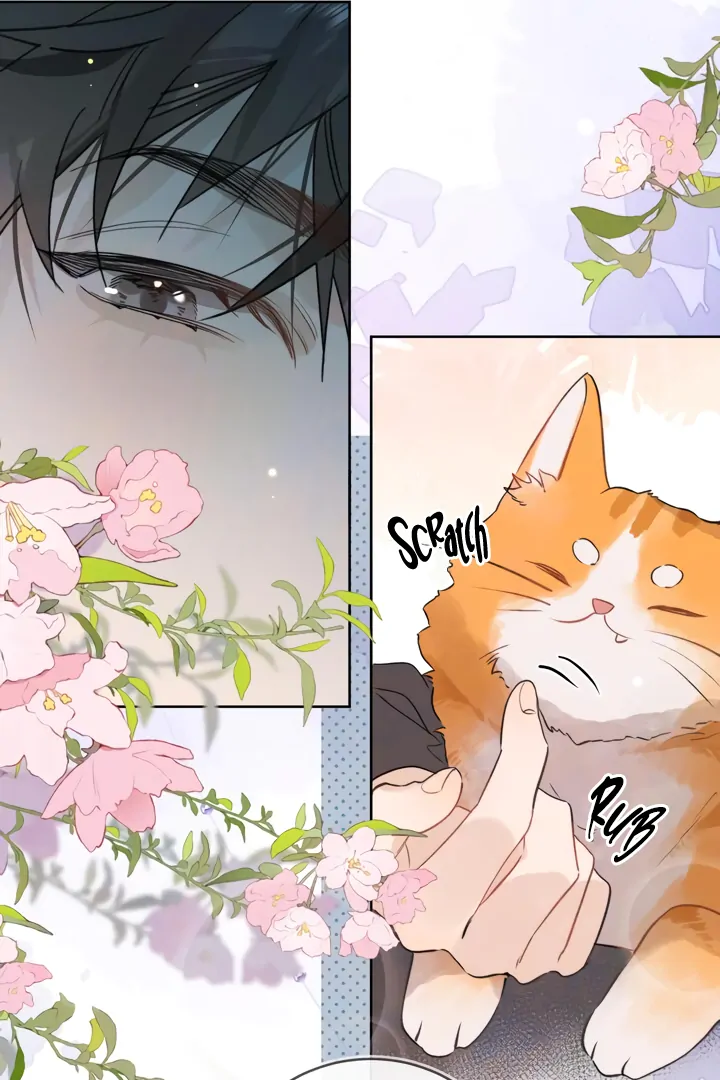 To Tell You My Love Chapter 47 - page 43