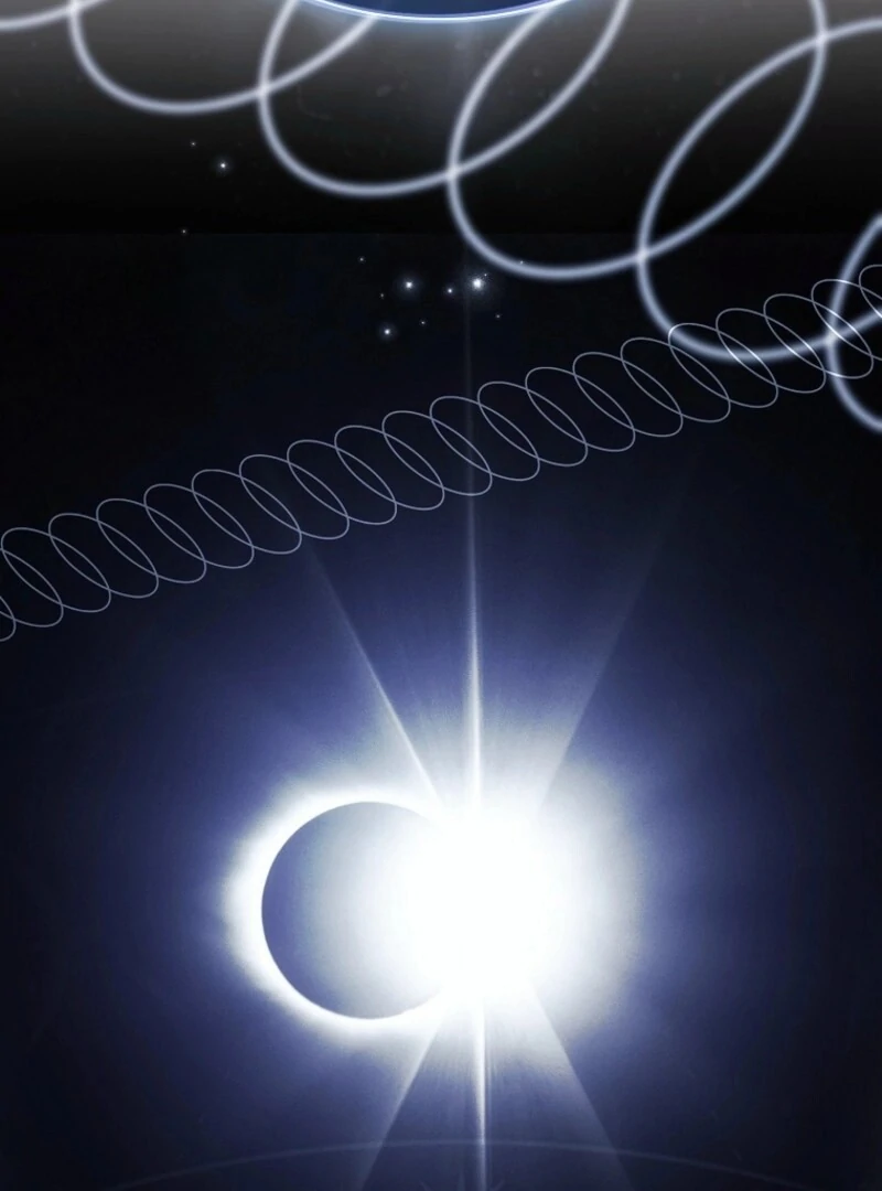 The Lady Wants to Rest Chapter 168 - page 59