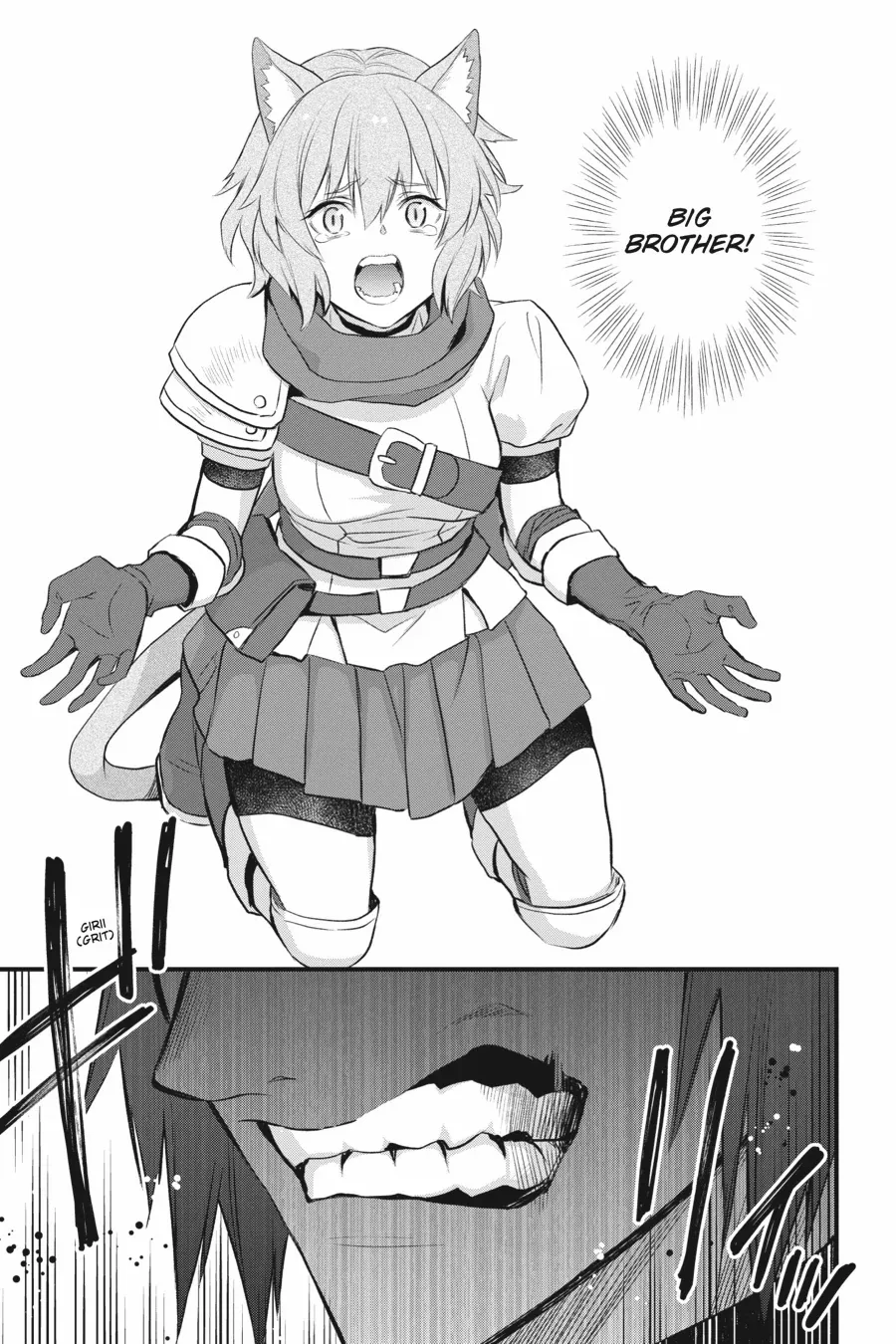 Dungeon ni Deai o Motomeru no wa Machigatte Iru Darou ka – Familia Chronicle: Episode Freya Chapter 18 - page 9