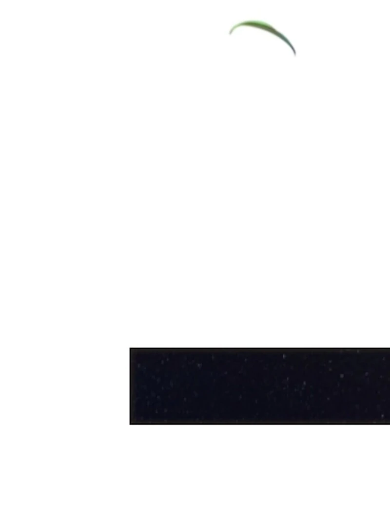 Melody: The Crazy Flower Blooms Chapter 137 - page 117