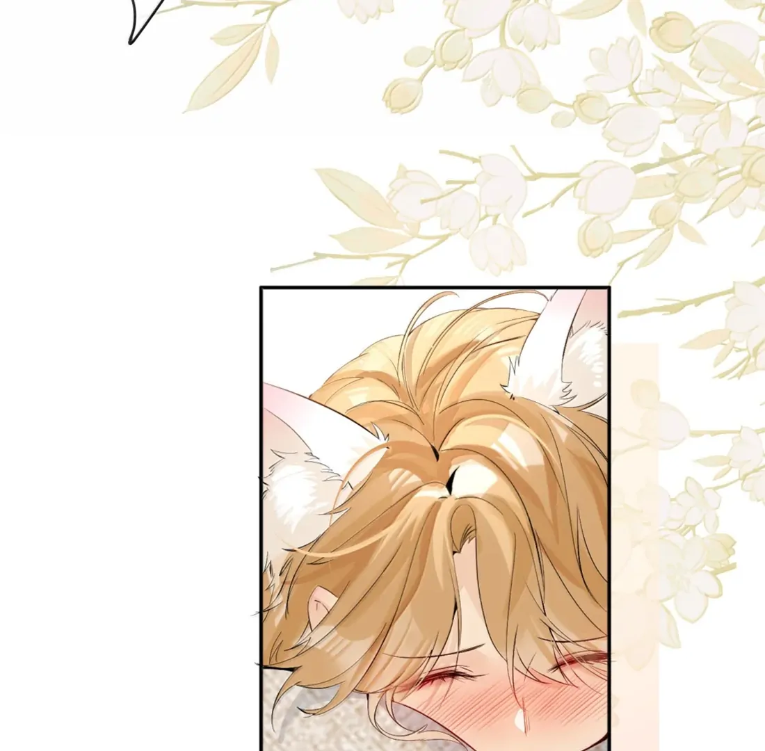 Lang Xiaojie He Ta De Huli Meimei Chapter 72 - page 51