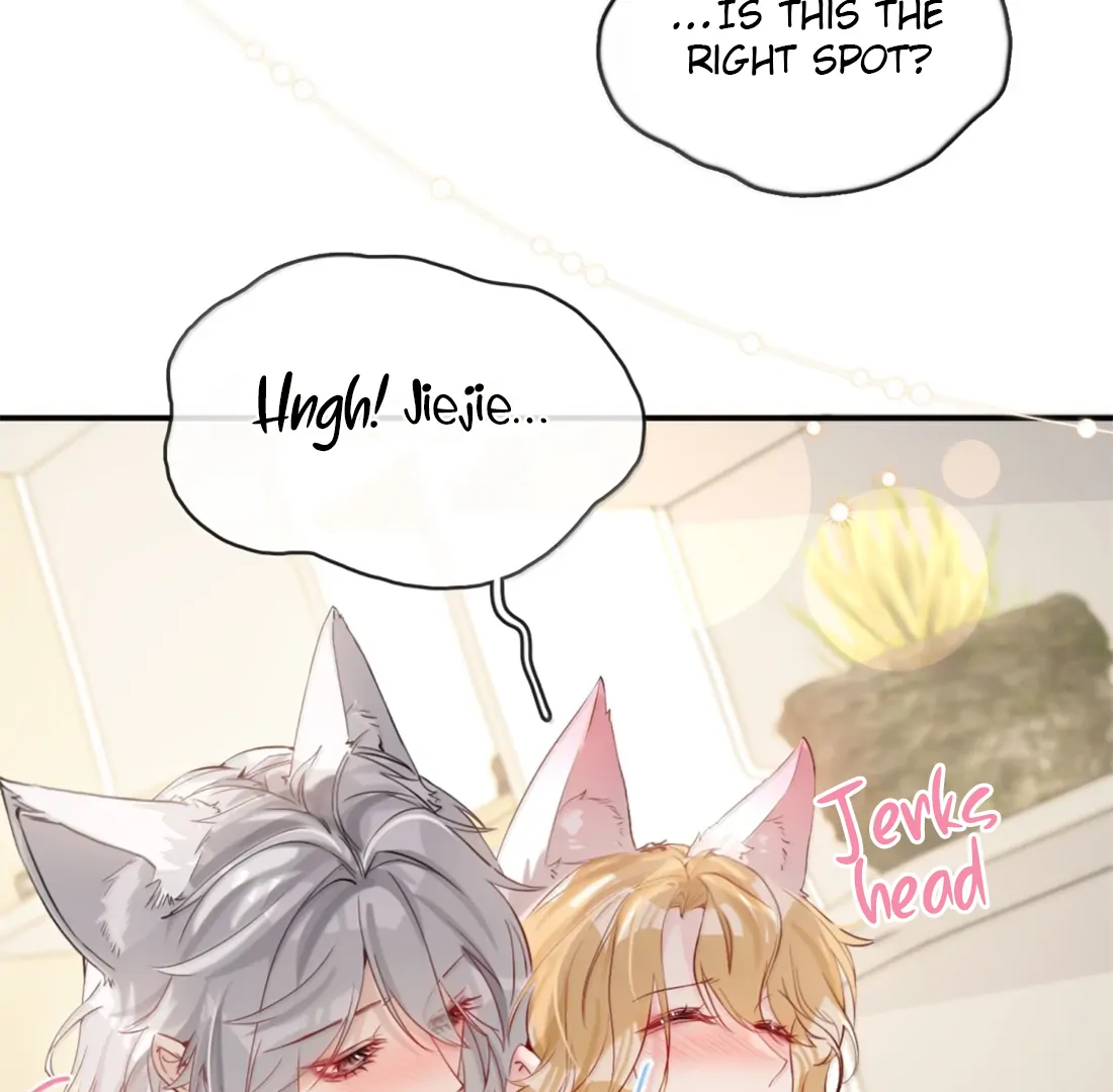 Lang Xiaojie He Ta De Huli Meimei Chapter 73 - page 38