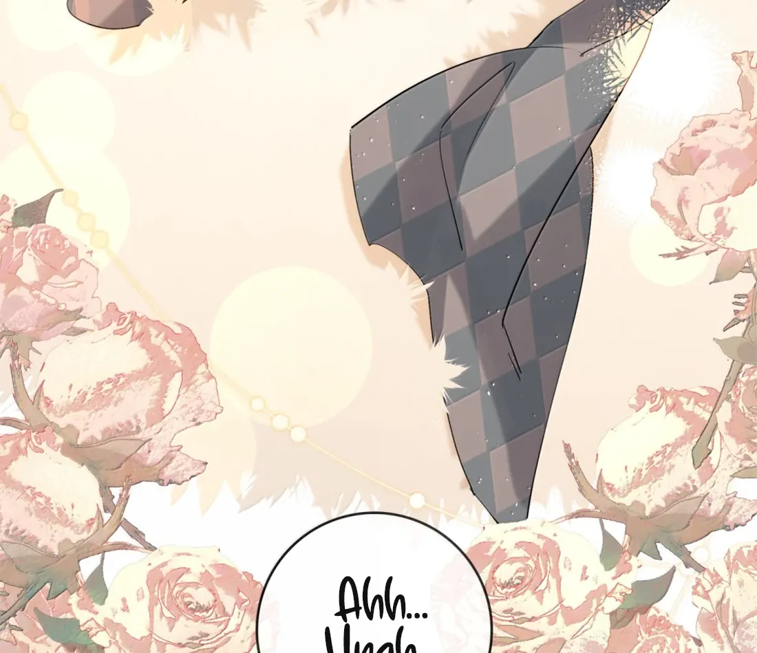 Lang Xiaojie He Ta De Huli Meimei Chapter 74 - page 43