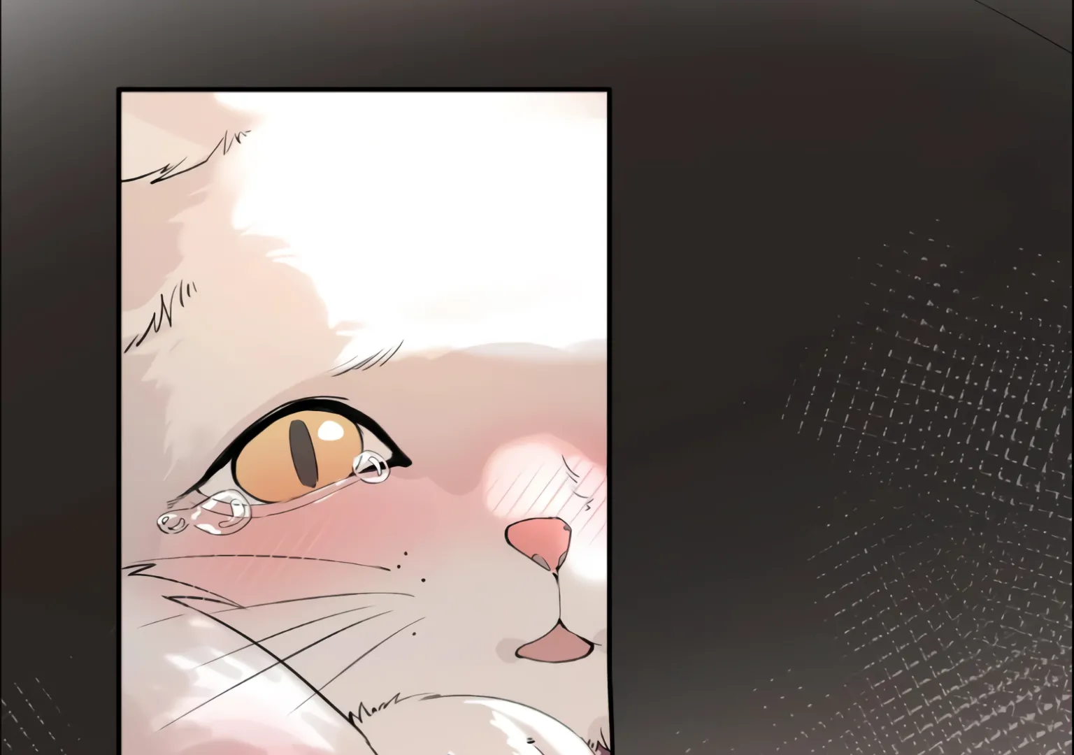 Lang Xiaojie He Ta De Huli Meimei Chapter 75 - page 15