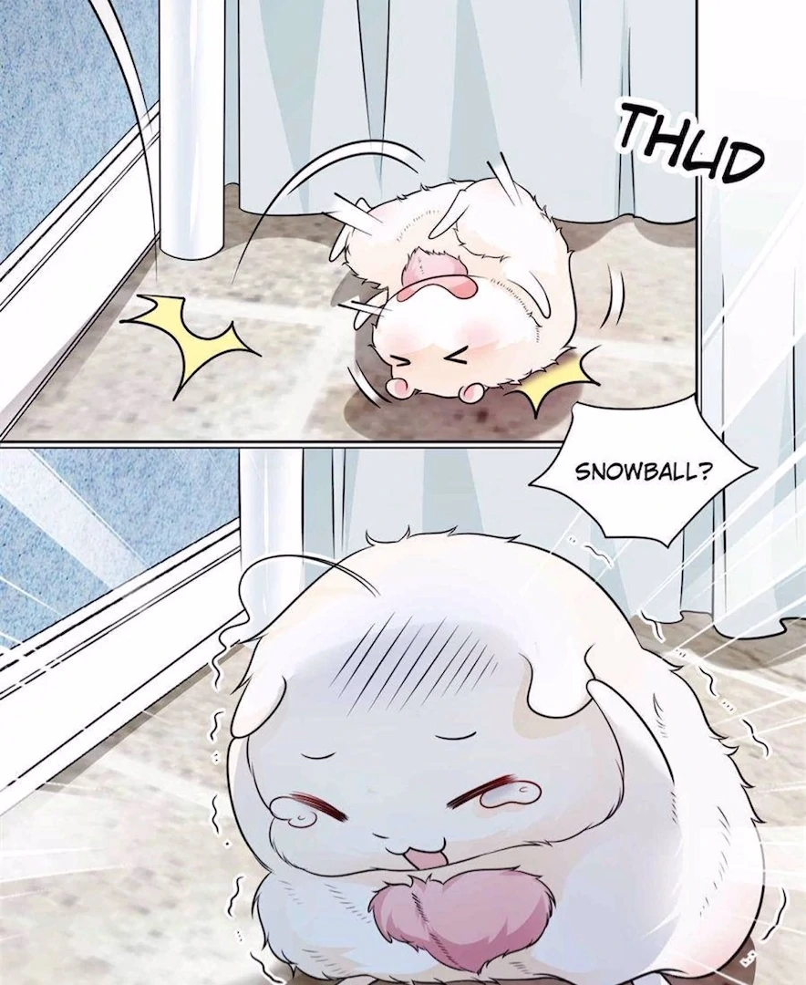 Ancestor is beautiful and elegant Chapter 3 - page 31