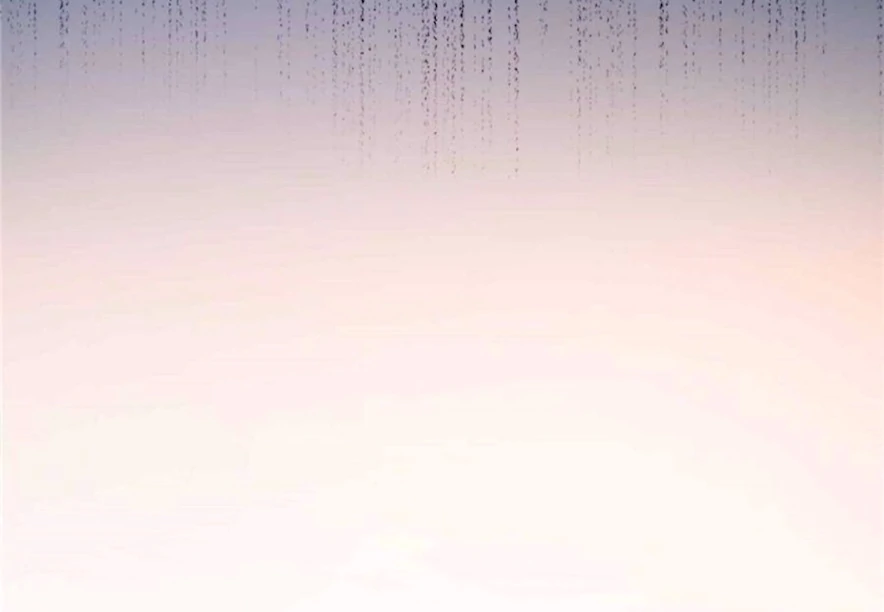 Ancestor is beautiful and elegant Chapter 11 - page 58