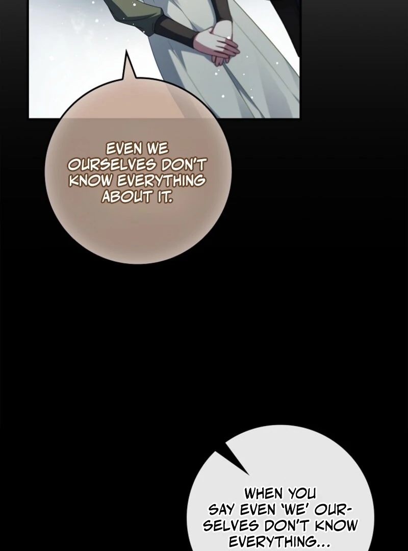 The Fake Lady of House Silkisia Chapter 107 - page 109