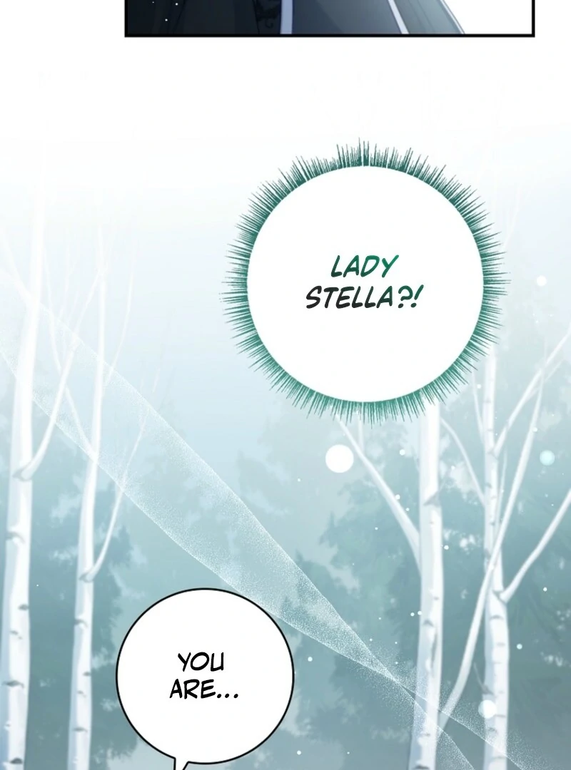 The Fake Lady of House Silkisia Chapter 107 - page 16