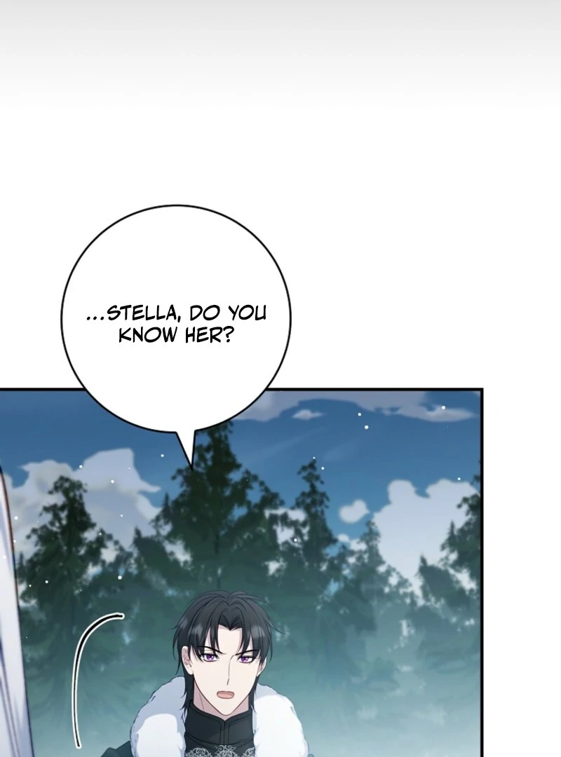 The Fake Lady of House Silkisia Chapter 107 - page 20