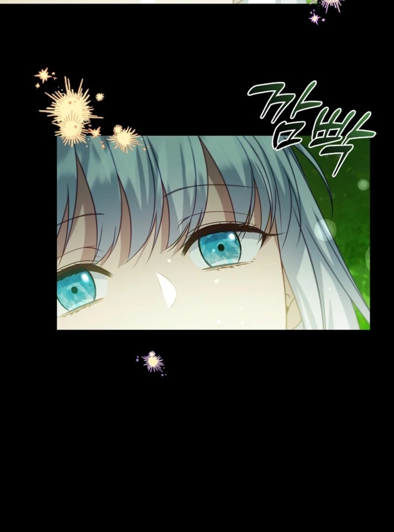 The Fake Lady of House Silkisia Chapter 108 - page 108