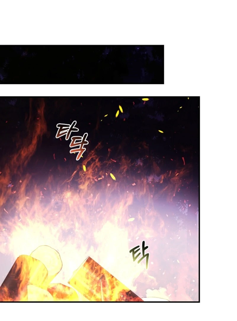The Fake Lady of House Silkisia Chapter 108 - page 13