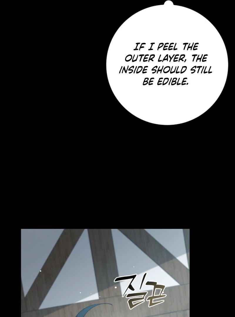 The Fake Lady of House Silkisia Chapter 108 - page 68