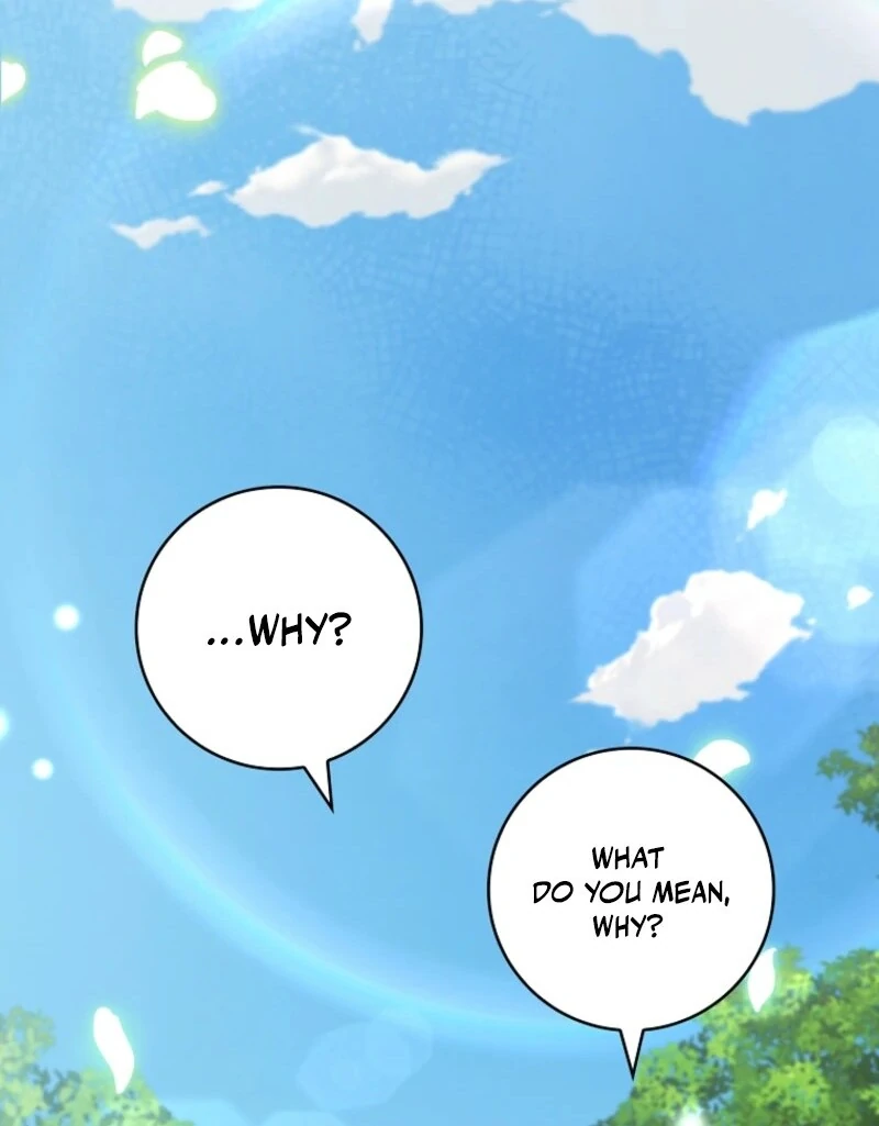 The Fake Lady of House Silkisia Chapter 109 - page 93