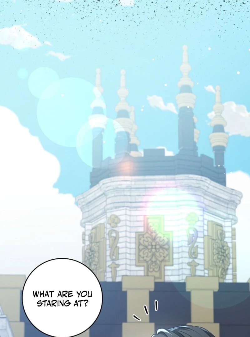 The Fake Lady of House Silkisia Chapter 110 - page 49