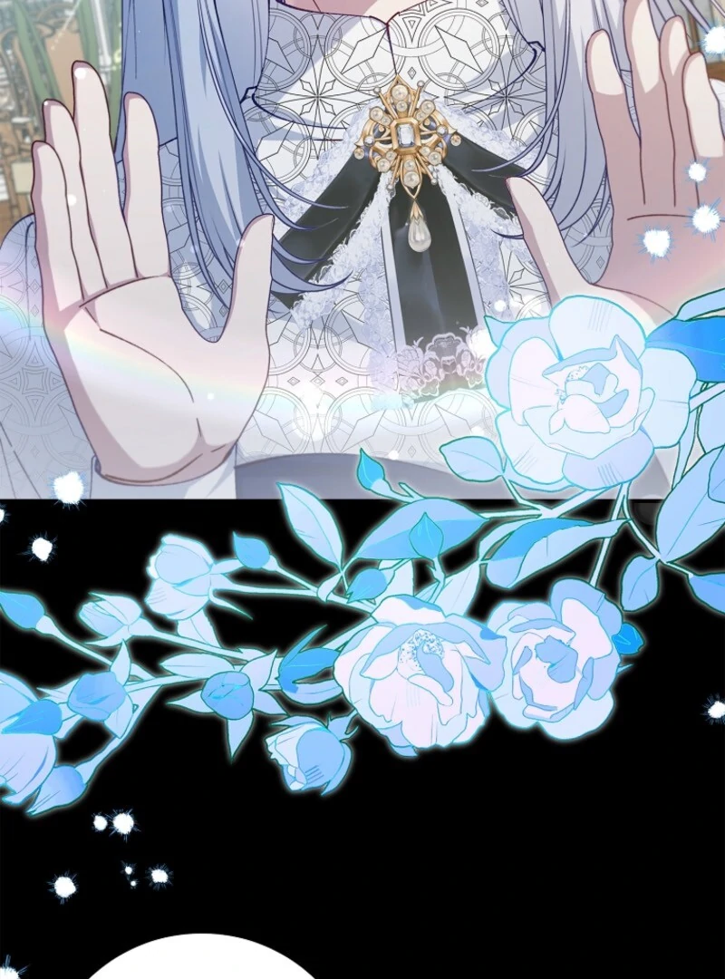 The Fake Lady of House Silkisia Chapter 110 - page 8