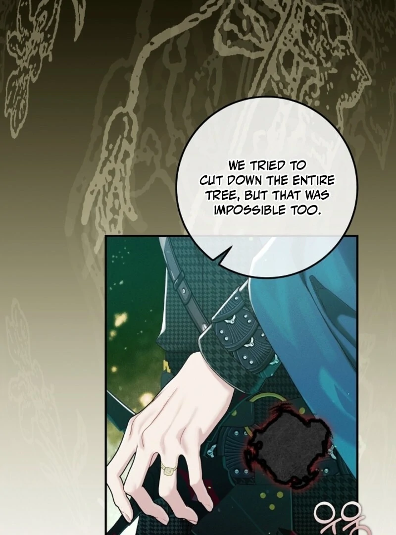 In the Midst of an Intended Marriage With My Time-Limited Lover Chapter 61 - page 37