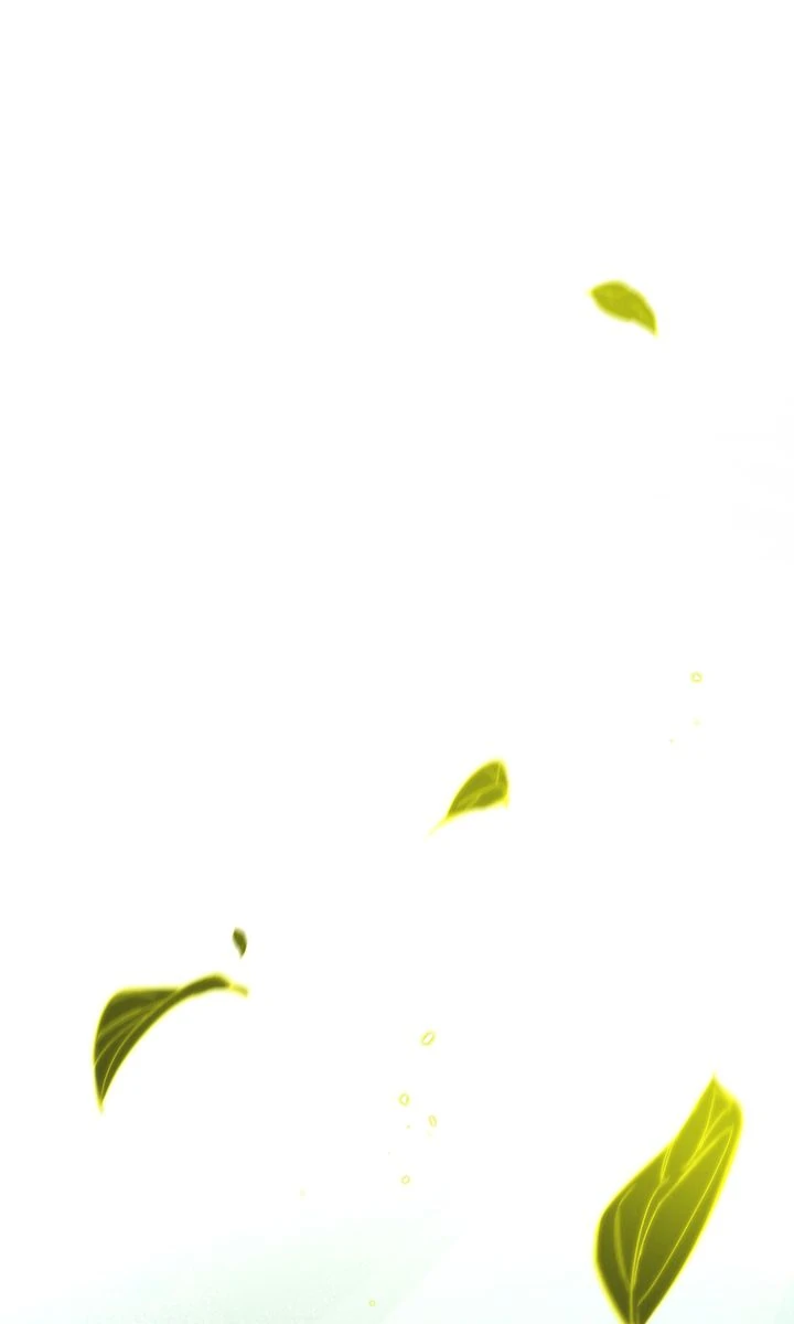 Even If Despair Consumes You Chapter 62 - page 31