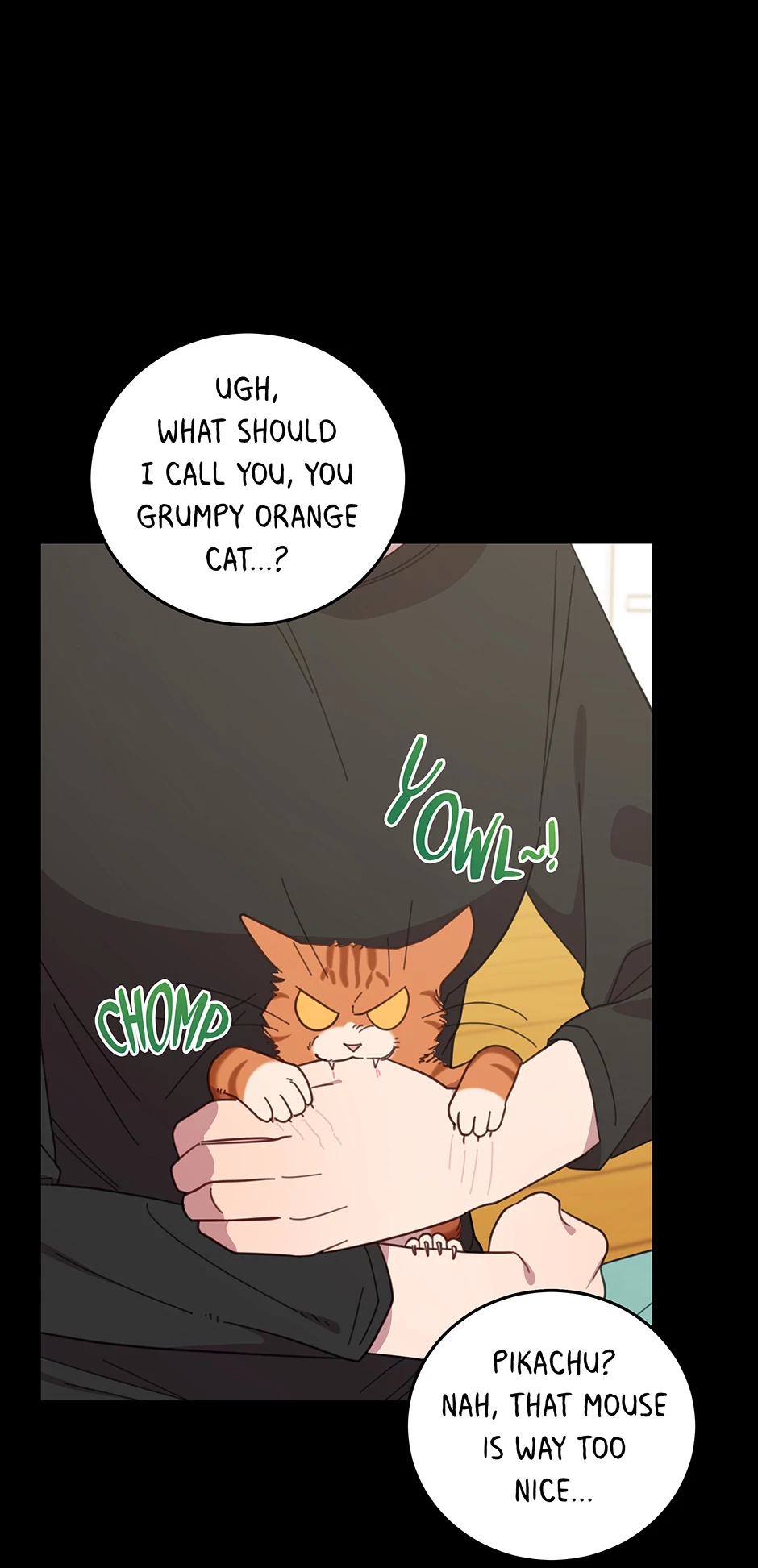 An animal hospital in the border area Chapter 149 - page 10