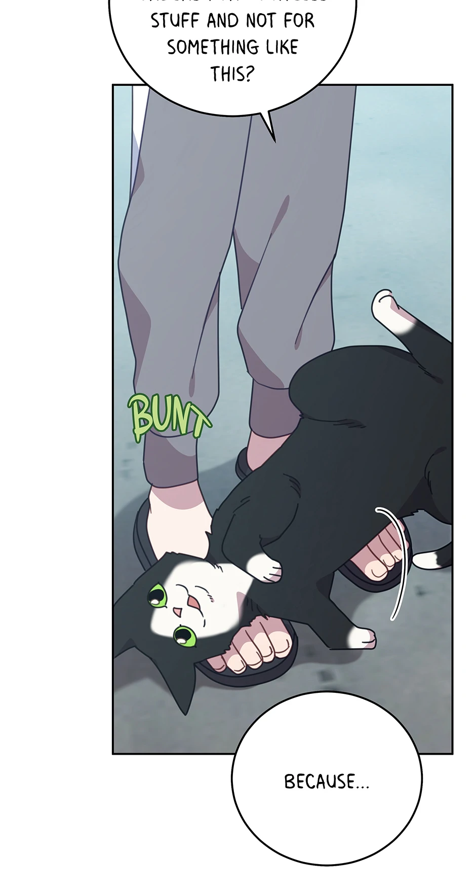 An animal hospital in the border area Chapter 151 - page 49
