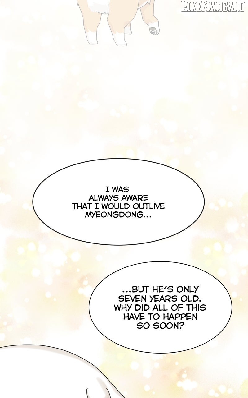 The Dog Diaries Chapter 219 - page 33