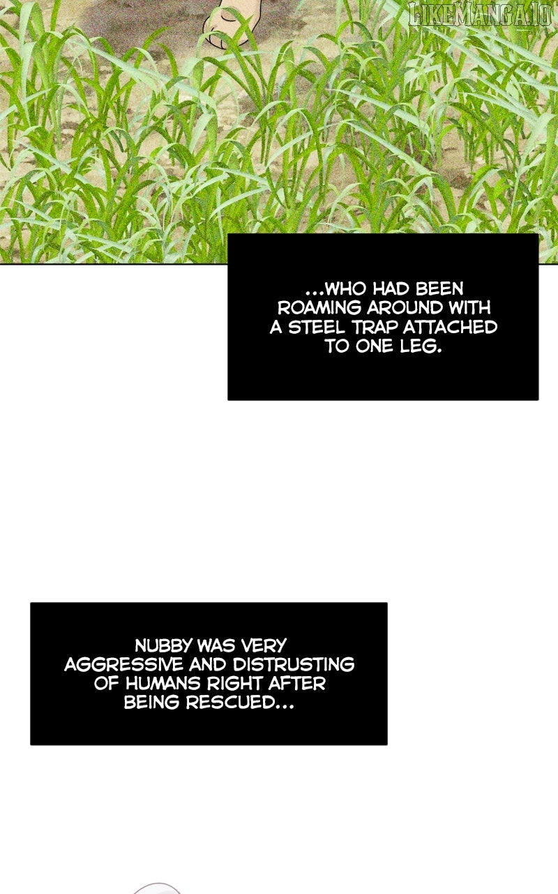 The Dog Diaries Chapter 219 - page 71