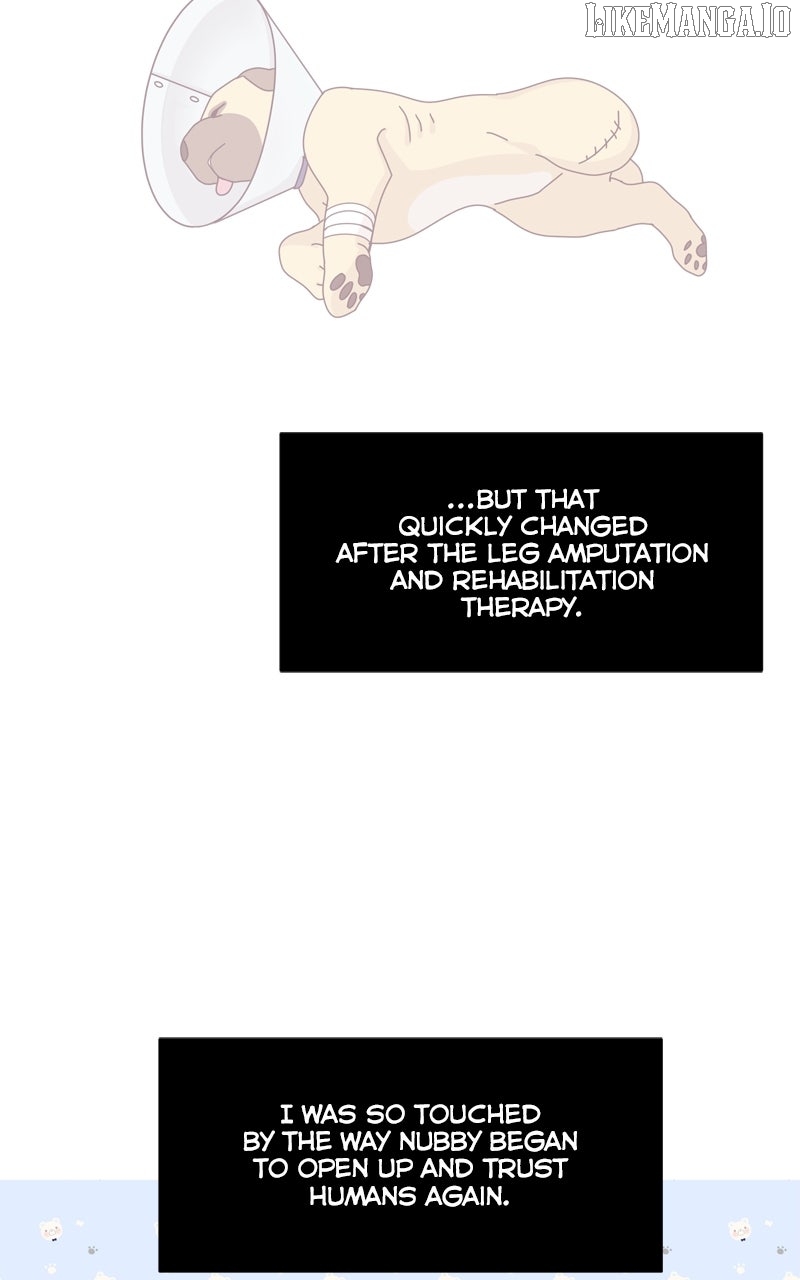 The Dog Diaries Chapter 219 - page 72