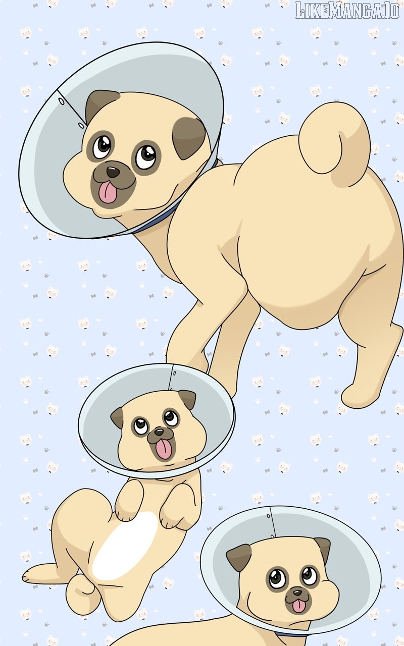 The Dog Diaries Chapter 219 - page 73
