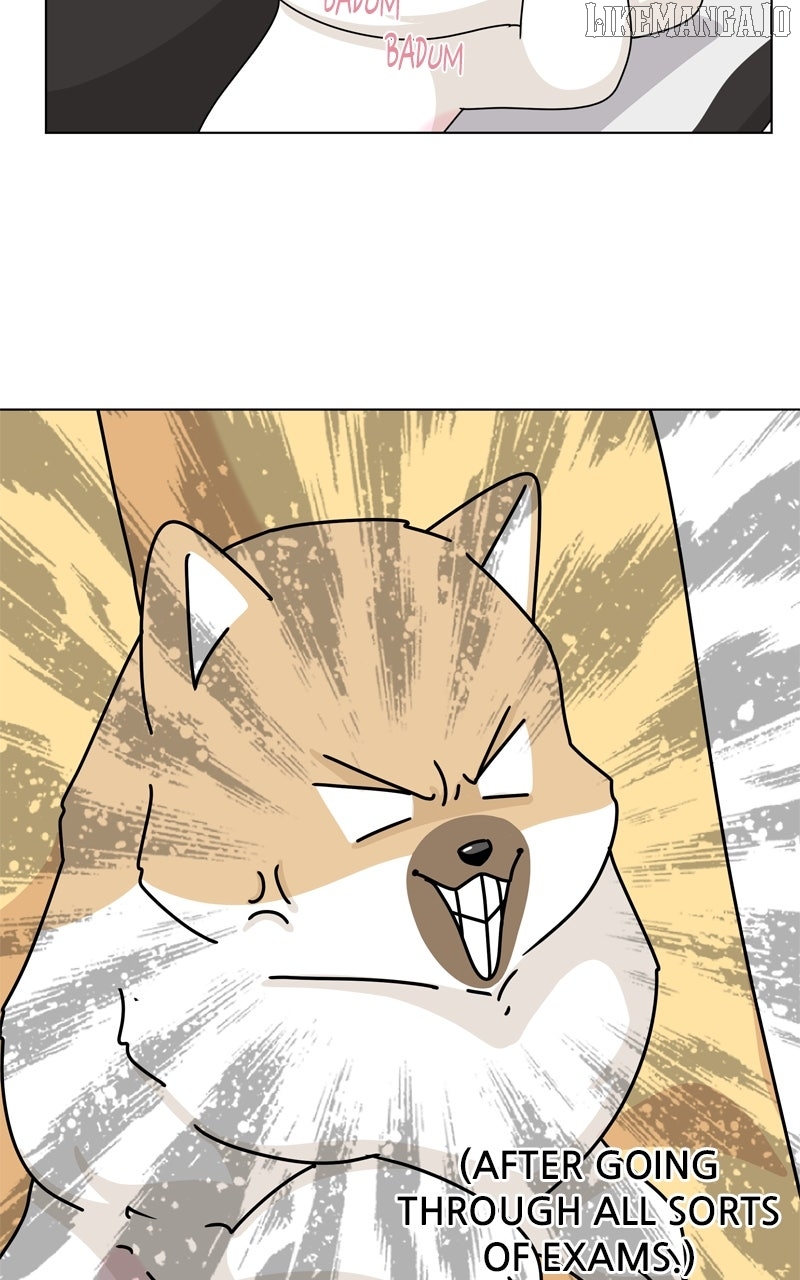 The Dog Diaries Chapter 220 - page 68