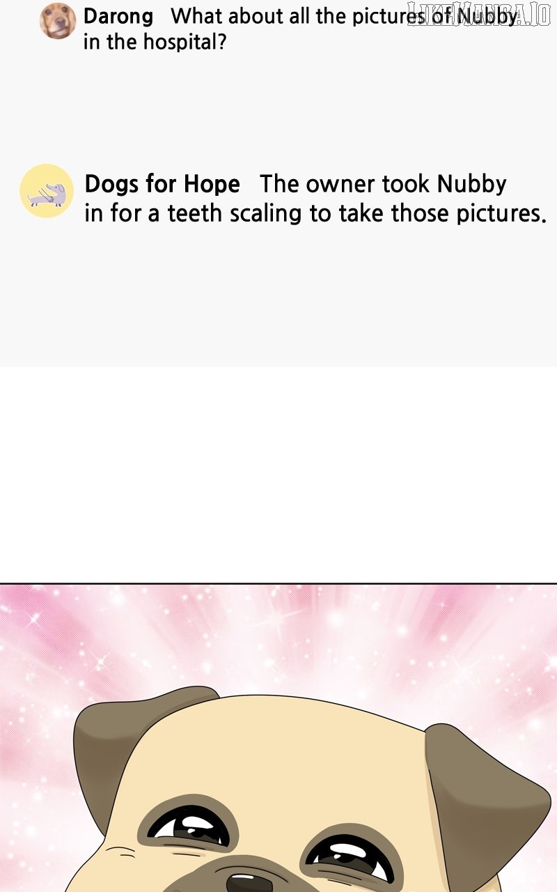 The Dog Diaries Chapter 221 - page 4