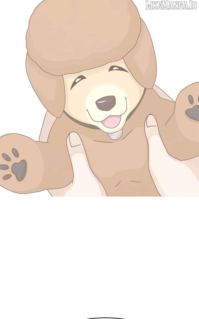 The Dog Diaries Chapter 221 - page 88