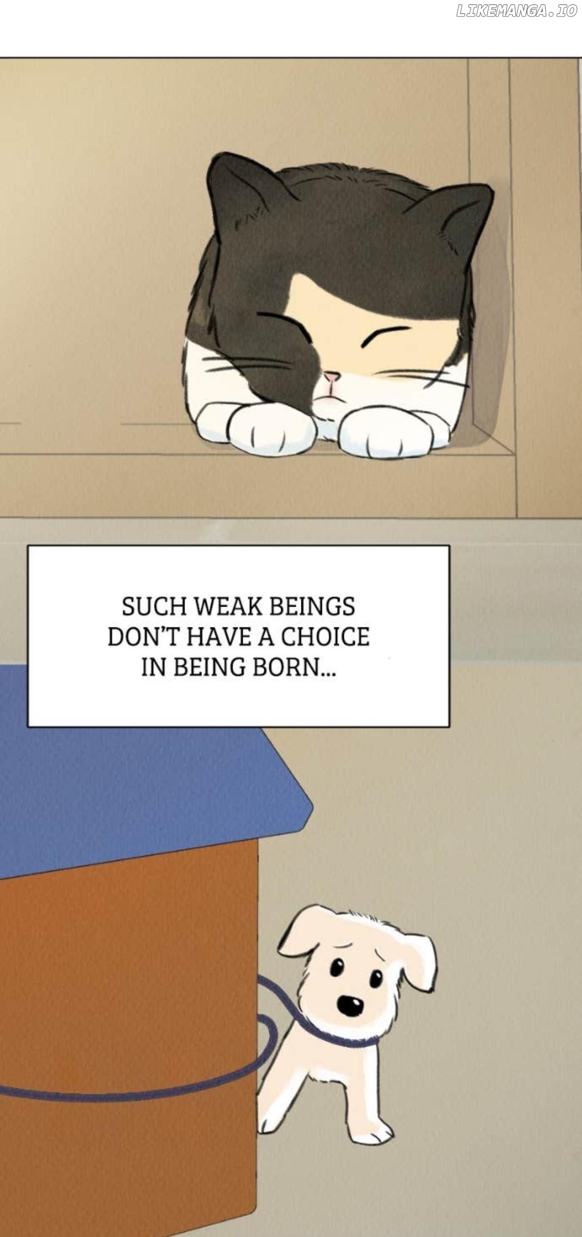 Want to See My Cat? Chapter 70 - page 15
