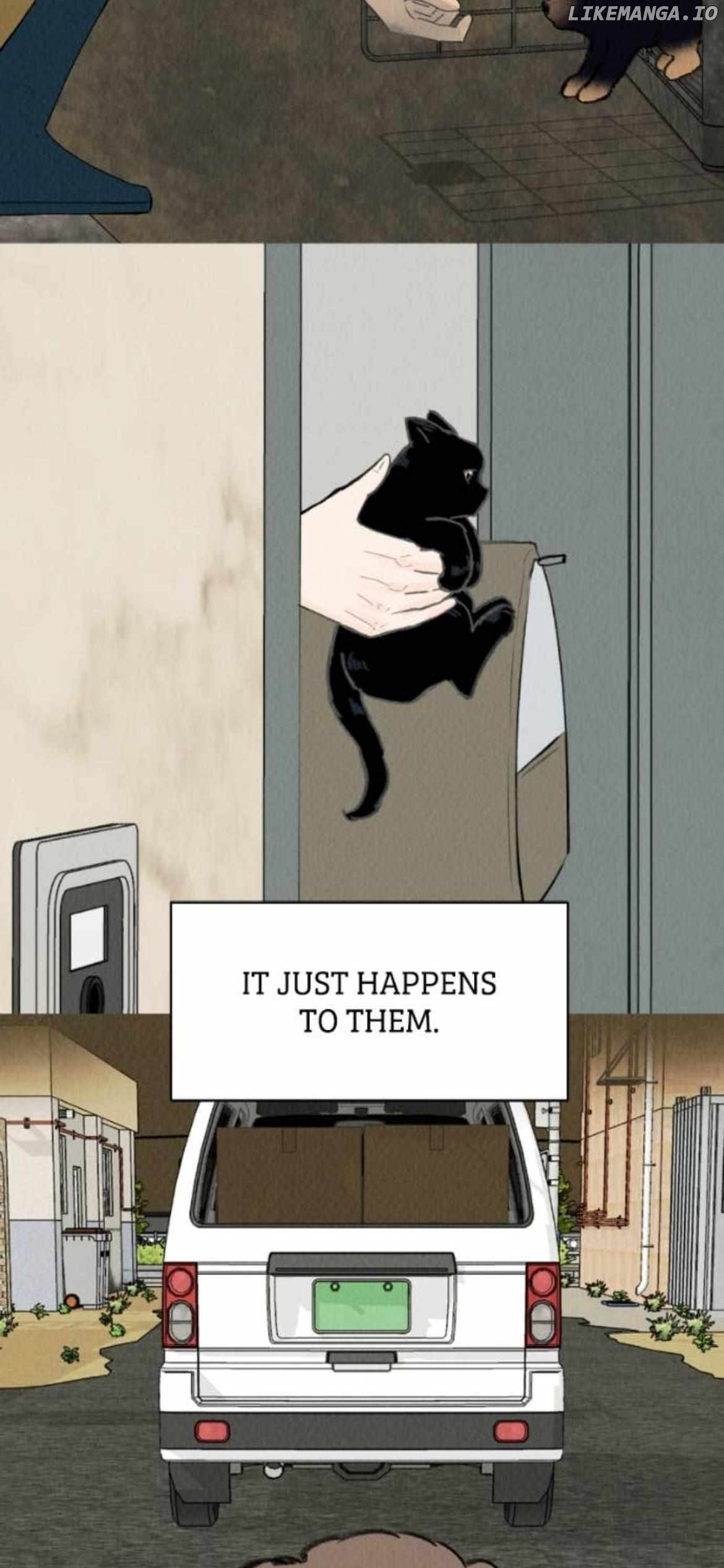 Want to See My Cat? Chapter 70 - page 17