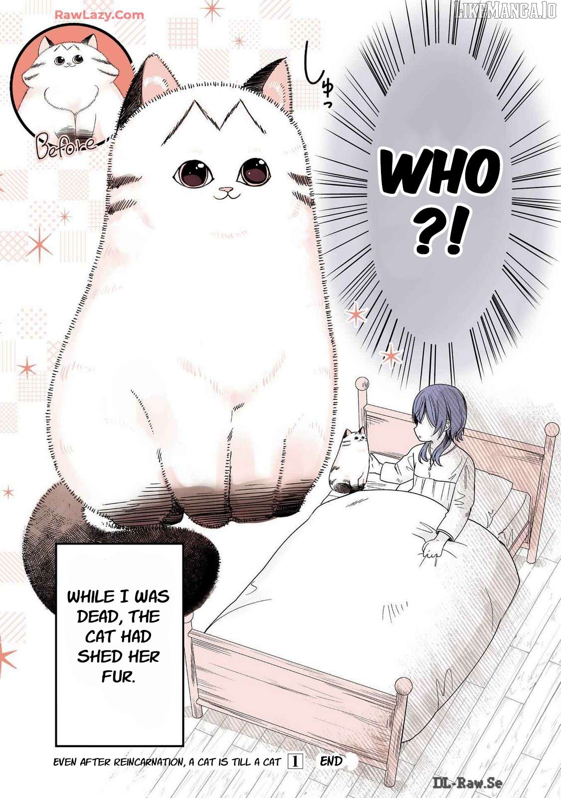 A story about a cat reincarnated in a different world where there are no cats. Chapter 23 - page 3