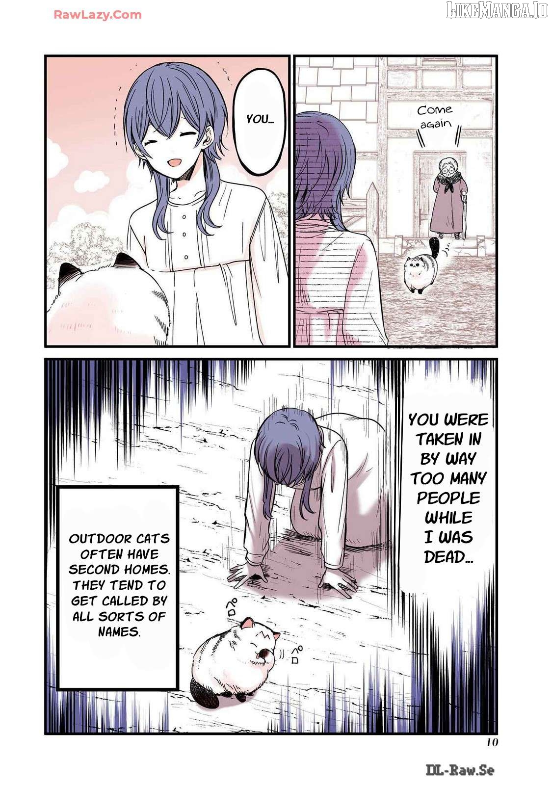 A story about a cat reincarnated in a different world where there are no cats. Chapter 25 - page 4