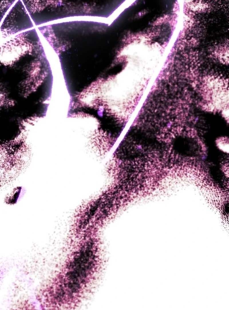 The Éminence Grise Orca Baby Chapter 75 - page 48