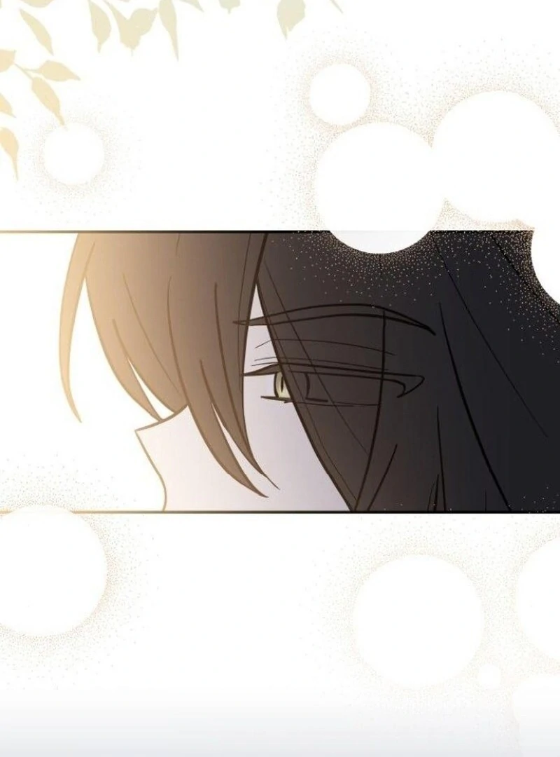 You’re a Cat, But You’ve Been Adopted by a Wolf Family? Chapter 73 - page 47