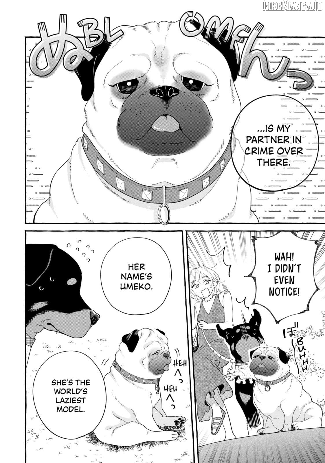 Encounter Between Polar Opposites And Their Dogs Chapter 32 - page 4