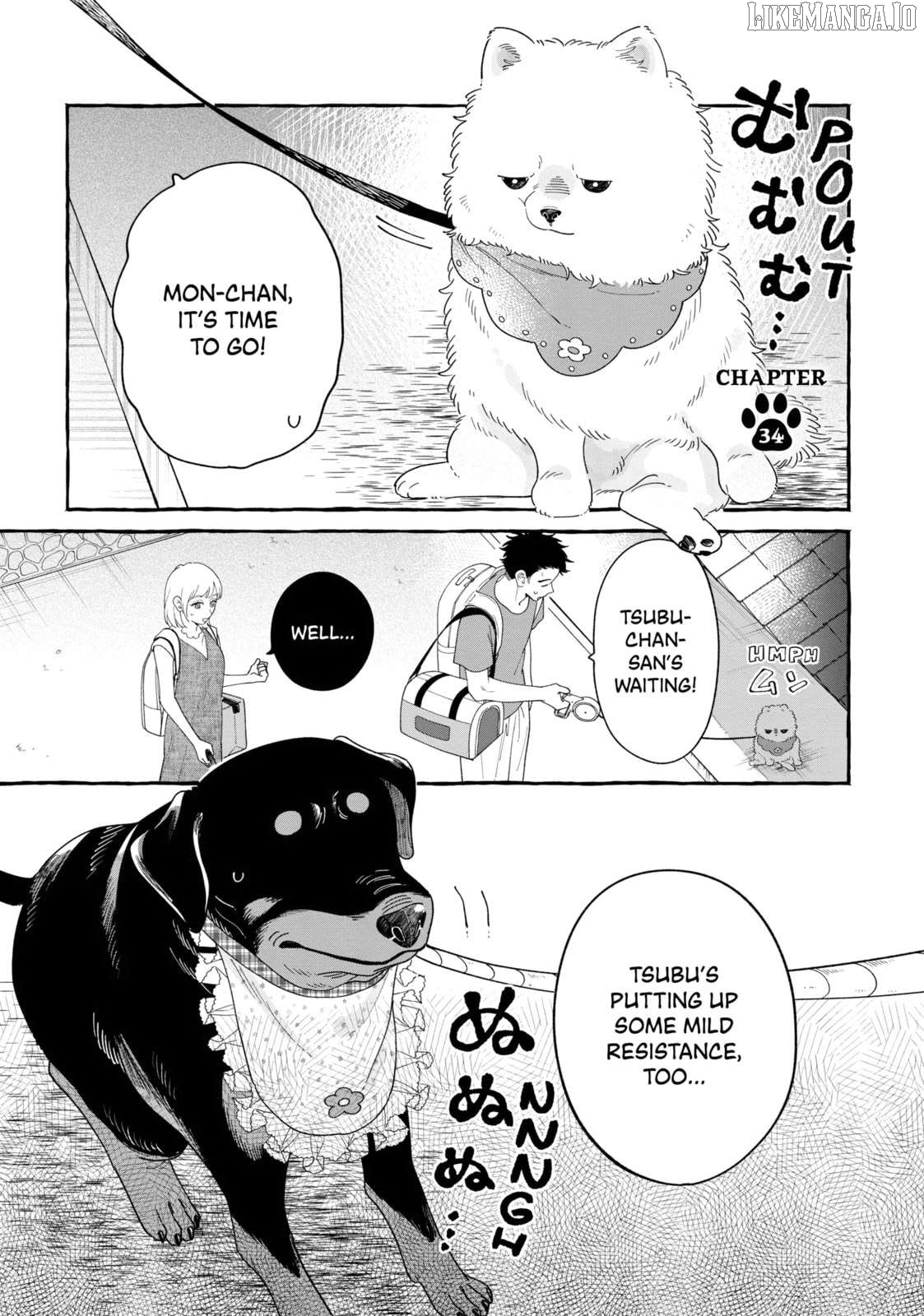 Encounter Between Polar Opposites And Their Dogs Chapter 34 - page 1