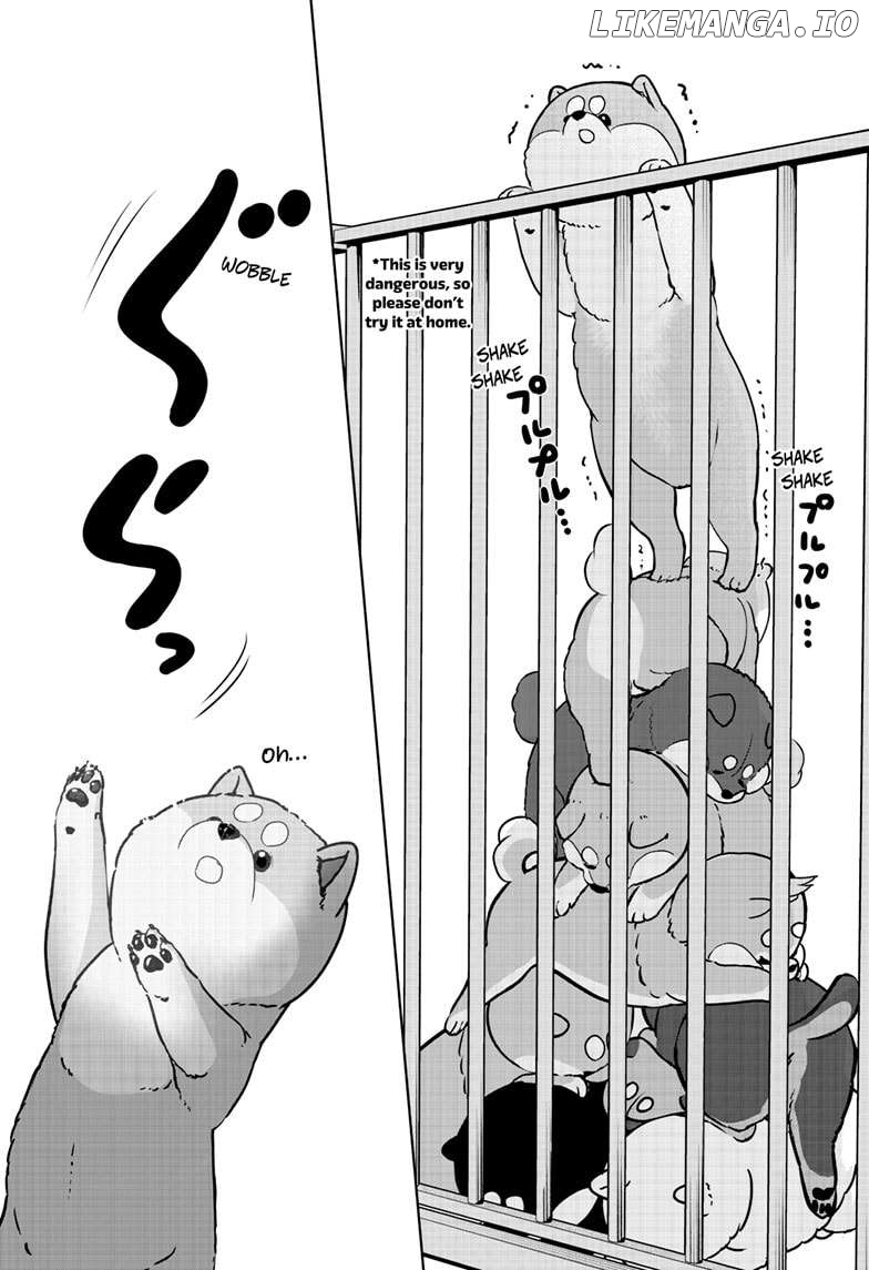 Shiba Inu Rooms Chapter 32 - page 10