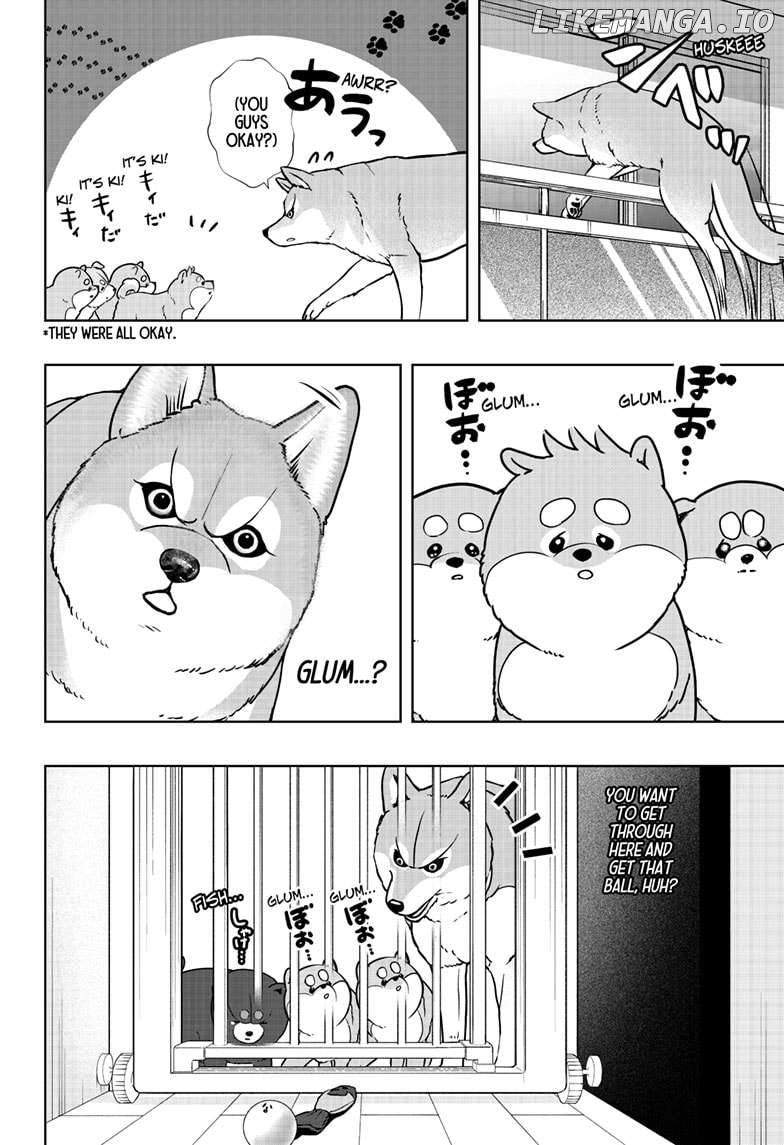 Shiba Inu Rooms Chapter 32 - page 12